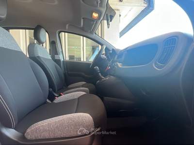 Fiat Panda 1.0 FireFly 70cv S&S Hybrid Grigio usata Pordenone