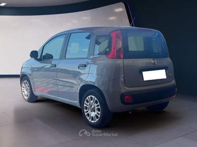 Fiat Panda 1.0 FireFly 70cv S&S Hybrid Grigio usata Pordenone