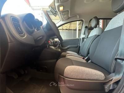 Fiat Panda 1.0 FireFly 70cv S&S Hybrid Grigio usata Pordenone