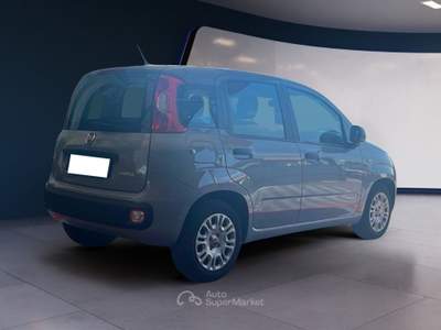 Fiat Panda 1.0 FireFly 70cv S&S Hybrid Grigio usata Pordenone