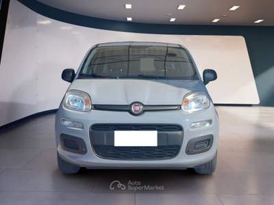 Fiat Panda 1.0 FireFly 70cv S&S Hybrid Grigio usata Pordenone