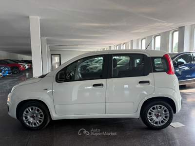 Fiat Panda Panda 1.0 firefly hybrid s&s 70cv Bianco usata Varedo