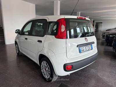 Fiat Panda Panda 1.0 firefly hybrid s&s 70cv Bianco usata Varedo
