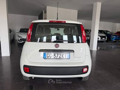 Fiat Panda Panda 1.0 firefly hybrid s&s 70cv Bianco usata Varedo