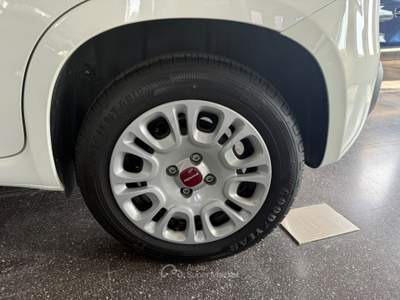 Fiat Panda Panda 1.0 firefly hybrid s&s 70cv Bianco usata Varedo
