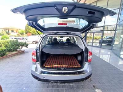 Subaru Forester 2.0D Exclusive Grigio usata Castelfranco di Sotto