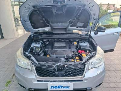 Subaru Forester 2.0D Exclusive Grigio usata Castelfranco di Sotto