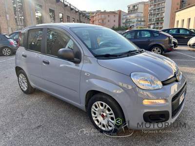 Fiat Panda 1.0 firefly hybrid s&amp;s 70cv 5p.ti Grigio usata Pontecagnano Faiano
