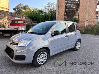 Fiat Panda 1.0 firefly hybrid s&amp;s 70cv 5p.ti Grigio usata Pontecagnano Faiano