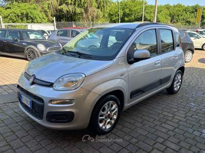 Fiat Panda GPL - perfetta - permute - garanzia Argento usata Palestrina