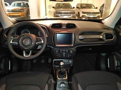 Jeep Renegade Renegade 1.6 Mjt 130 CV Limited Blu/Azzurro usata RENDE
