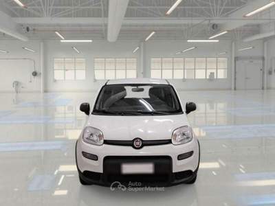Fiat Panda FireFly S&S Hybrid usata Omegna