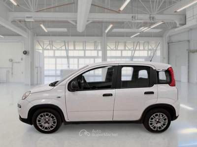 Fiat Panda FireFly S&S Hybrid usata Omegna
