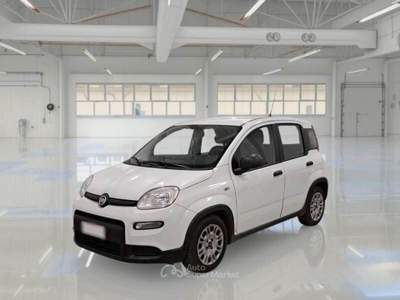 Fiat Panda FireFly S&S Hybrid usata Omegna