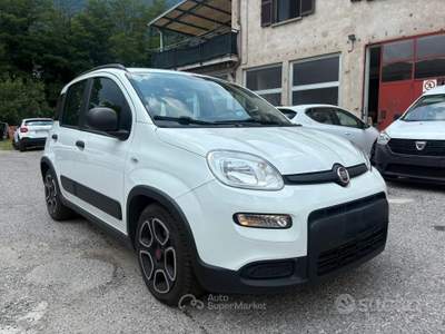 Fiat Panda FireFly S&S Hybrid Sport usata Omegna