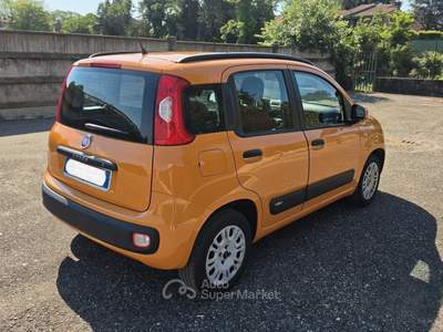 Fiat Panda Lounge usata FERRARA