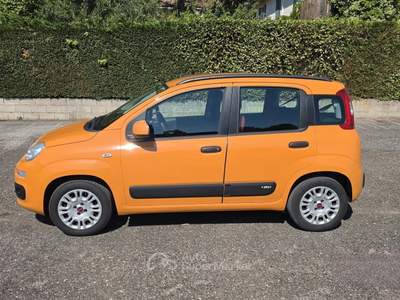 Fiat Panda Lounge usata FERRARA