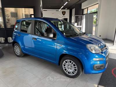 Fiat Panda Pandina 1.0 FireFly 65 CV Hybrid Icon Blu/Azzurro usata Mottola