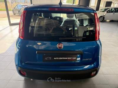 Fiat Panda Pandina 1.0 FireFly 65 CV Hybrid Icon Blu/Azzurro usata Mottola
