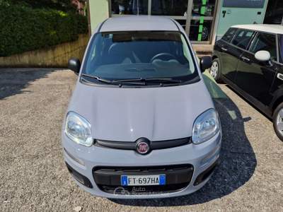Fiat Panda 1.2 Easy s Unico Proprietario Ok Neopatentati Grigio usata Nave