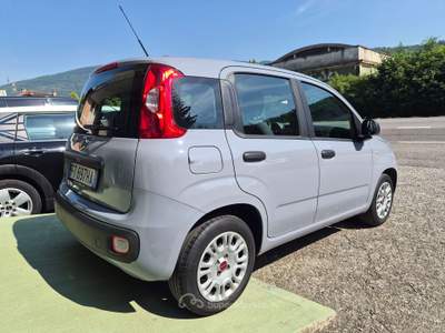 Fiat Panda 1.2 Easy s Unico Proprietario Ok Neopatentati Grigio usata Nave