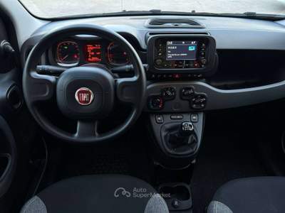 Fiat Panda 1.0 HYBRID 70 CV CITYLIFE - *PRMZIONE* usata Carpenedolo