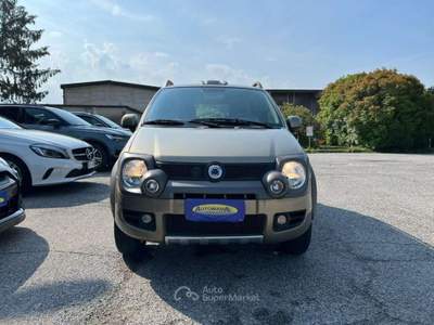 Fiat Panda 1.3 MJT 16V 4x4 Cross Commercianti Bronzo usata Besozzo