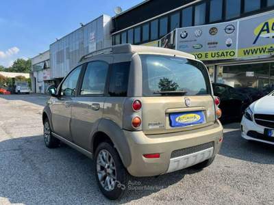 Fiat Panda 1.3 MJT 16V 4x4 Cross Commercianti Bronzo usata Besozzo