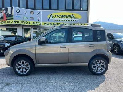 Fiat Panda 1.3 MJT 16V 4x4 Cross Commercianti Bronzo usata Besozzo