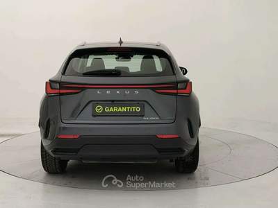 Lexus NX 350h 2.5 Business 2wd 244cv e-cvt Grigio usata Torino