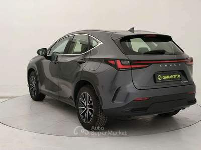 Lexus NX 350h 2.5 Business 2wd 244cv e-cvt Grigio usata Torino