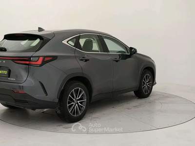 Lexus NX 350h 2.5 Business 2wd 244cv e-cvt Grigio usata Torino