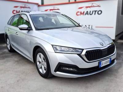 Skoda Octavia 1.5 g-tec Executive 130cv dsg usata Fermo
