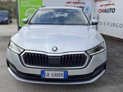 Skoda Octavia 1.5 g-tec Executive 130cv dsg usata Fermo