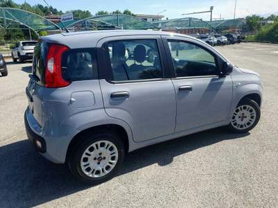 Fiat Panda OTTIME CONDIZIONI Grigio usata Cumiana