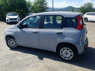 Fiat Panda OTTIME CONDIZIONI Grigio usata Cumiana