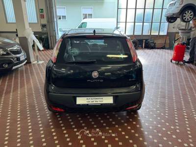 Fiat Punto Evo Punto Evo 1.2 5 porte Dynamic Nero usata Cinisello Balsamo