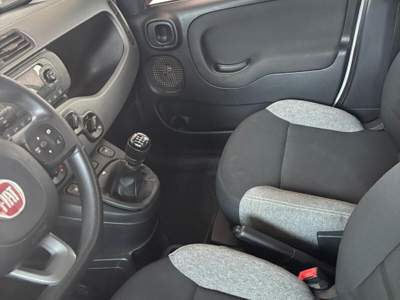 Fiat Panda FireFly S&S Hybrid City Life Bianco usata Modena