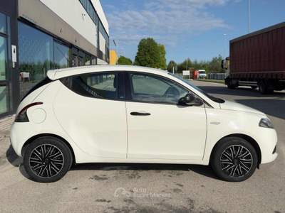 Lancia Ypsilon 1.2 69 CV 5 porte Platinum Bianco usata Santa Maria di Sala