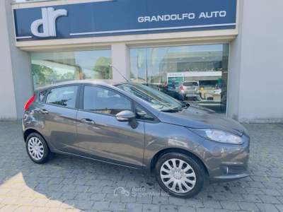 Ford Fiesta Ideale per neopatentati Grigio usata Pantigliate