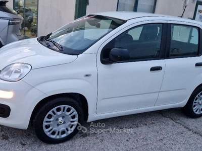 Fiat Panda 1.0 FireFly S&S Hybrid  km.o Bianco usata Fossombrone