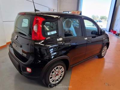 Fiat Panda 1.0 FireFly S&S Hybrid  km.o Bianco usata Fossombrone