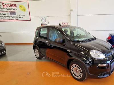 Fiat Panda 1.0 FireFly S&S Hybrid  km.o Bianco usata Fossombrone