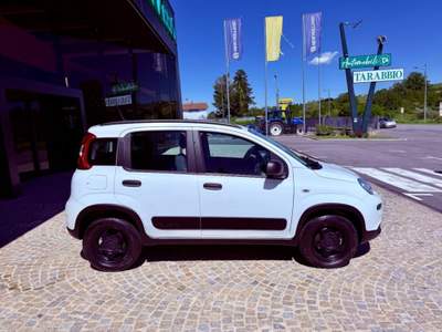 Fiat Panda KM 59.000 - 4X4 - NO OBBLIGO FINANZIAMENTO Bianco usata Castagnole delle Lanze
