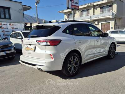 Ford Kuga EcoBlue 120 CV aut. 2WD ST-Line X Bianco usata Sant'Egidio del Monte Albino