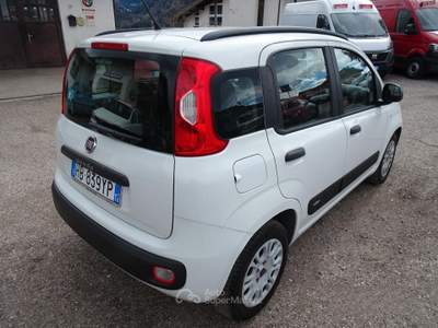 Fiat Panda Easy usata Cavalese