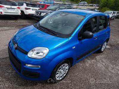 Fiat Panda FireFly S&S Hybrid usata Cavalese