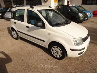 Fiat Panda Dynamic GPL usata Cavalese