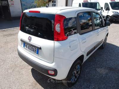 Fiat Panda 4x4 Pop Van 2 posti usata Cavalese