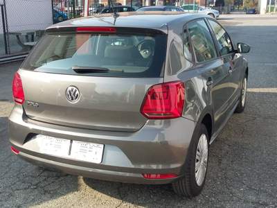 Volkswagen Polo 1.0 MPI 75 CV 5p. Comfortline Grigio usata Alba